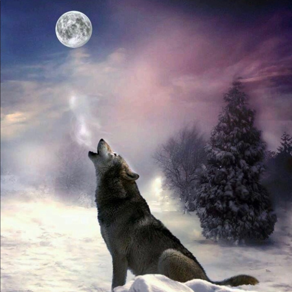 Meet your Posher, Annie